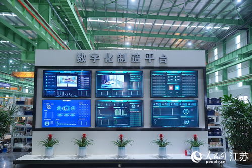 鏈式聯(lián)動，數(shù)智賦能 揚州為3517家企業(yè)開出精準發(fā)展“藥方”