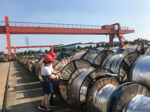 光纜鑄夢 不畏驕陽，C位出道